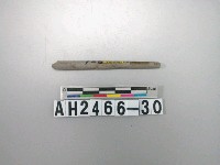 藏品(石針殘件)的圖片